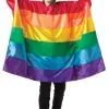CARNIVAL PRODUCTS Rainbow Flag Unisex Adult Tunic -Costume Themes Sales 018RB