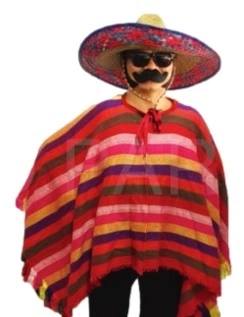 Mexican Poncho - Woven Rainbow Stripe