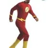 The Flash Comic Mens Costume [Size: Large]