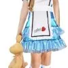 Alice Wonderland Cutie Girls Costume [Size: 4-6 Years]
