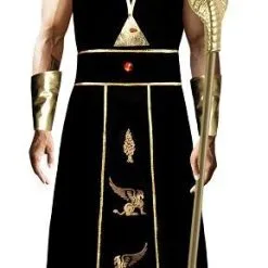 Partilicious Egyptian Pharoah Mens Costume
