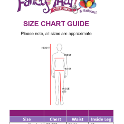 Arabian Flying Carpet Mens Costume -Costume Themes Sales 19812 3