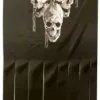 Skull Print Curtain - 2M -Costume Themes Sales 21 588