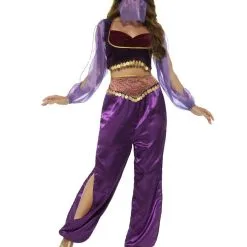 Purple Arabian Princess Women's Costume [Size XS (6-8)]