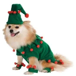 Elf Pet Costume