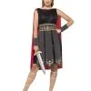 Roman Warrior Adult Costume [Size: S (8-10)] -Costume Themes Sales 45496