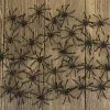 Spiders - Pack Of 30