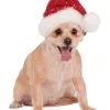 Rubies Sequin Santa Pet Hat, Red - Size M-L