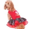 Barkday Tutu Dress Pet Costume - Size M