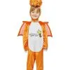 Julia Donaldson Zog Deluxe Toddler Costume [Size: 3-4 Yrs] -Costume Themes Sales 67046