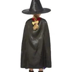 Room On The Broom Toddler Girls Costume [Size: 3-4 Yrs] -Costume Themes Sales 67048 1