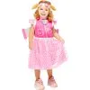 Paw Patrol Skye Delxue Girls Costume