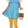 Rubies Dorothy Young Adult Costume [Size: XS (6-8)] -Costume Themes Sales 880327XS