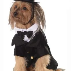 Dapper Dog Pet Costume [Size: XL Pet]