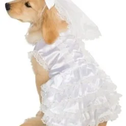 Bride Pet Costume [Size: Large Pet]