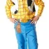 Disney Toy Story Woody Mens Costume [Size: Standard] -Costume Themes Sales 9689