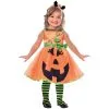Cute Pumpking Girls Costume [Size: 4-6 Yrs]