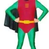 Robin Hire Costume*