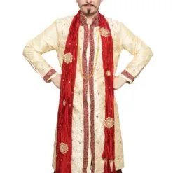 Bollywood Guy 5 Hire Costume*