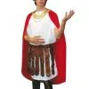 Julius Caesar Hire Costume* -Costume Themes Sales H 324