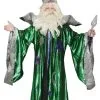 Wizard - Deluxe Green Hire Costume* -Costume Themes Sales H 393