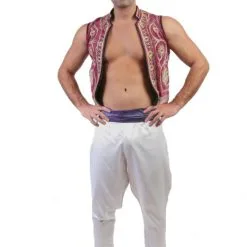 Aladdin Hire Costume*